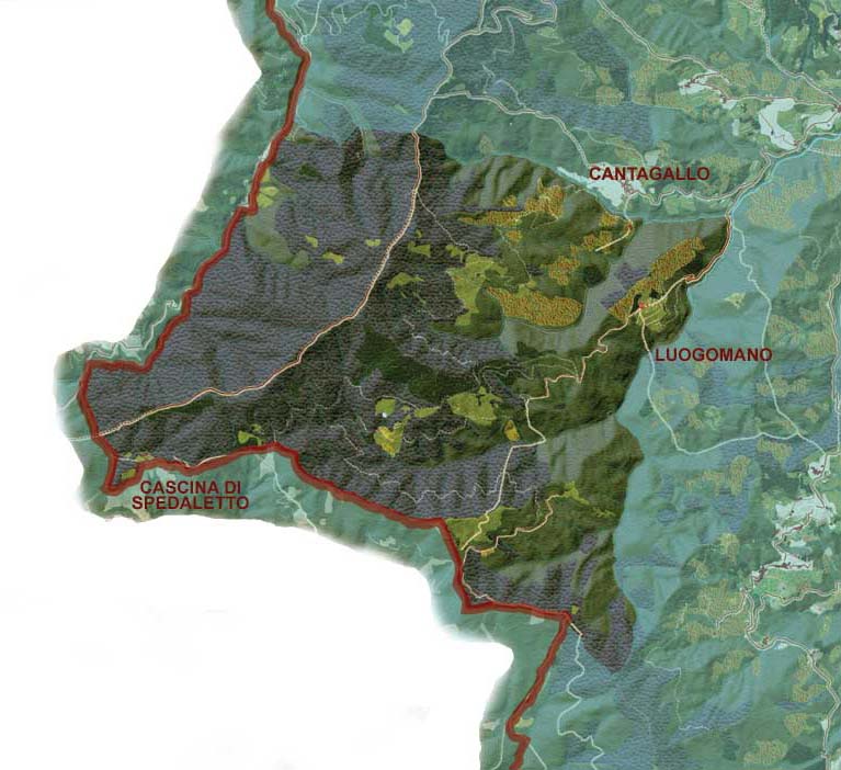 Immagine mappa riserva provinciale