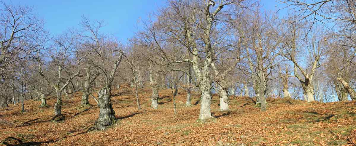 Immagine della riserva naturale