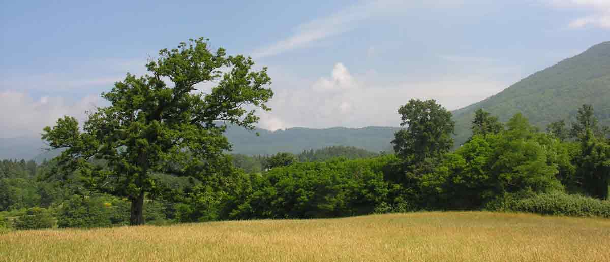 Immagine della riserva